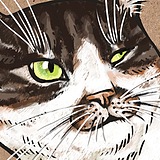 猫喊画院曲爷的头像