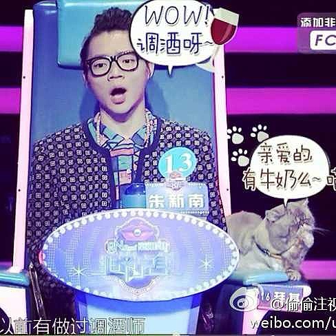 拜基大爷近况（图ZMTgwOTAzMTI=） - 宠物摄影 - 站酷设计师漫画猫朱新南原创素材 - 站酷ZCOOL