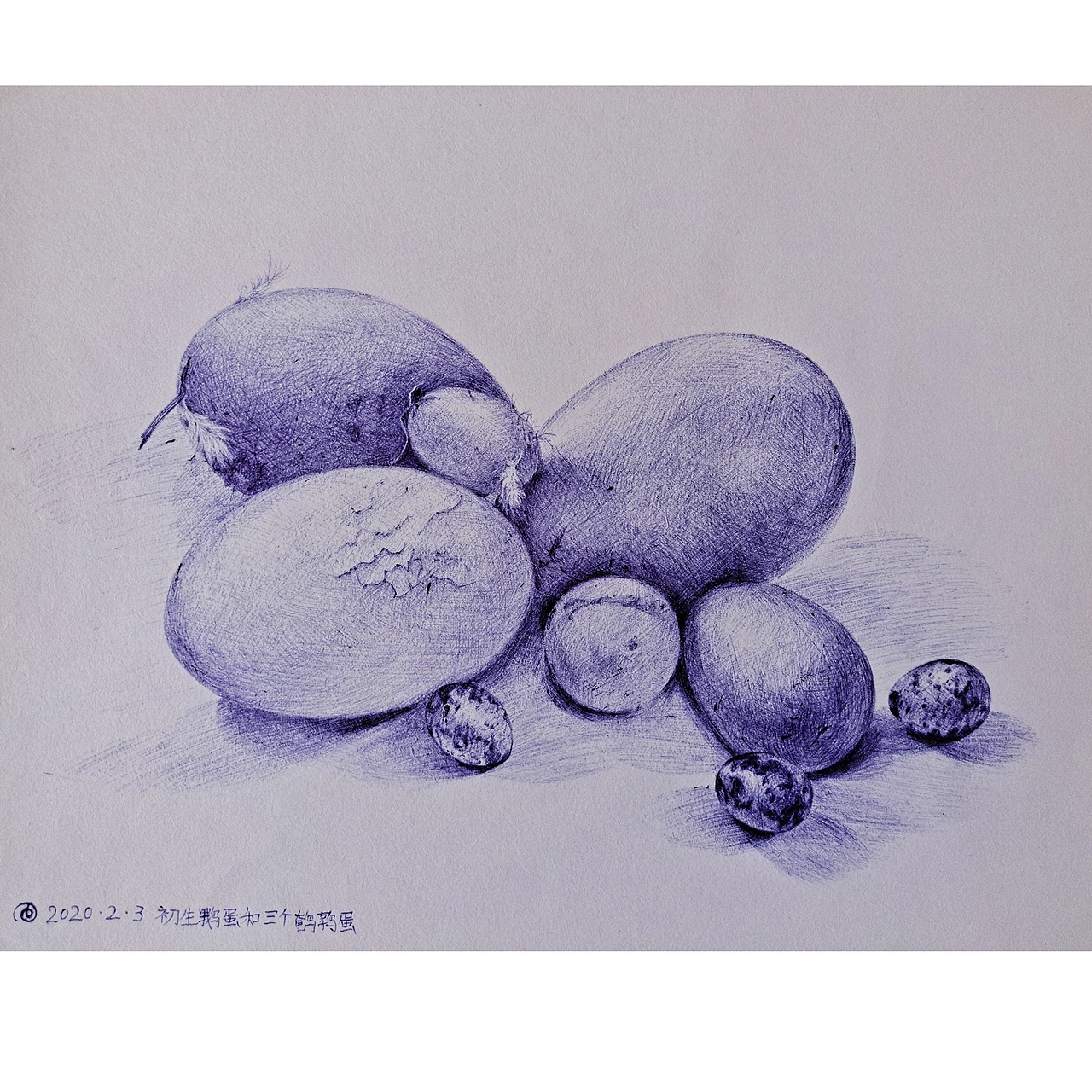 圆珠笔静物系列