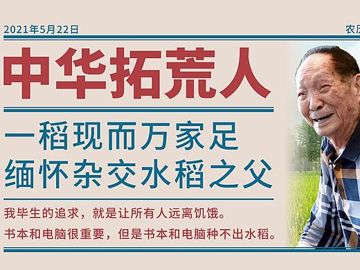 杂交水稻之父袁隆平生平人物宣传介绍PPT