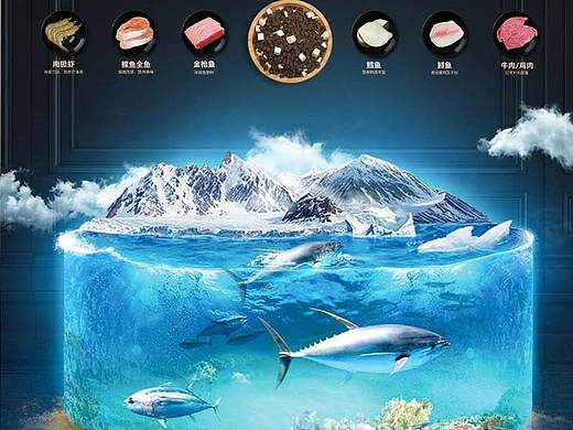 简所折页与海报