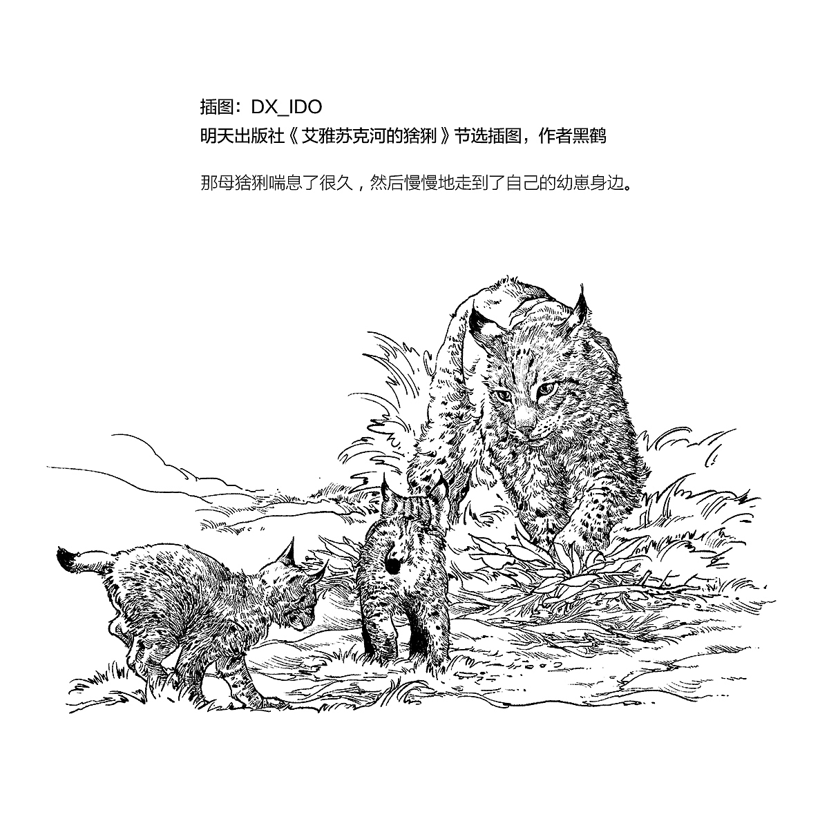 2189 一些插图整理（图ZMTI5NTg5MjAw） - 绘画 - 站酷设计师DX_IDO原创素材 - 站酷ZCOOL