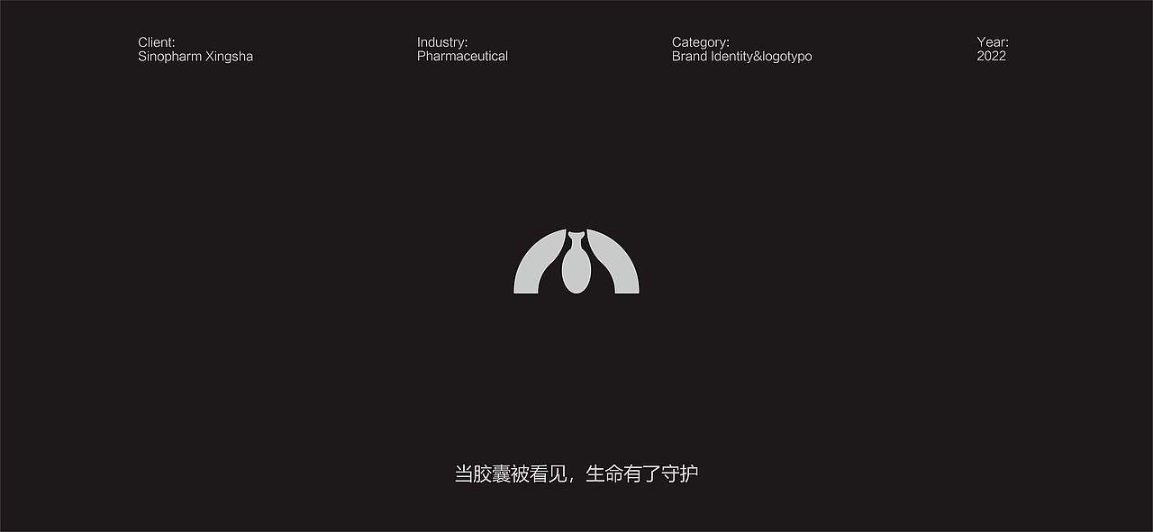 国控星鲨品牌焕新标志设计(图ZMjk2ODU4ODI4) - Logo - 站酷设计师wanlack原创素材 - 站酷ZCOOL