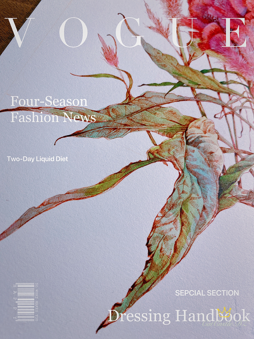 蘸水笔针管笔|鸡冠花