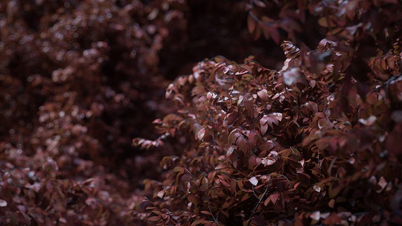 OC写实材质练习（图ZMzI5NTAwMjIw） - 场景 - 站酷设计师白彦小小仙原创素材 - 站酷ZCOOL