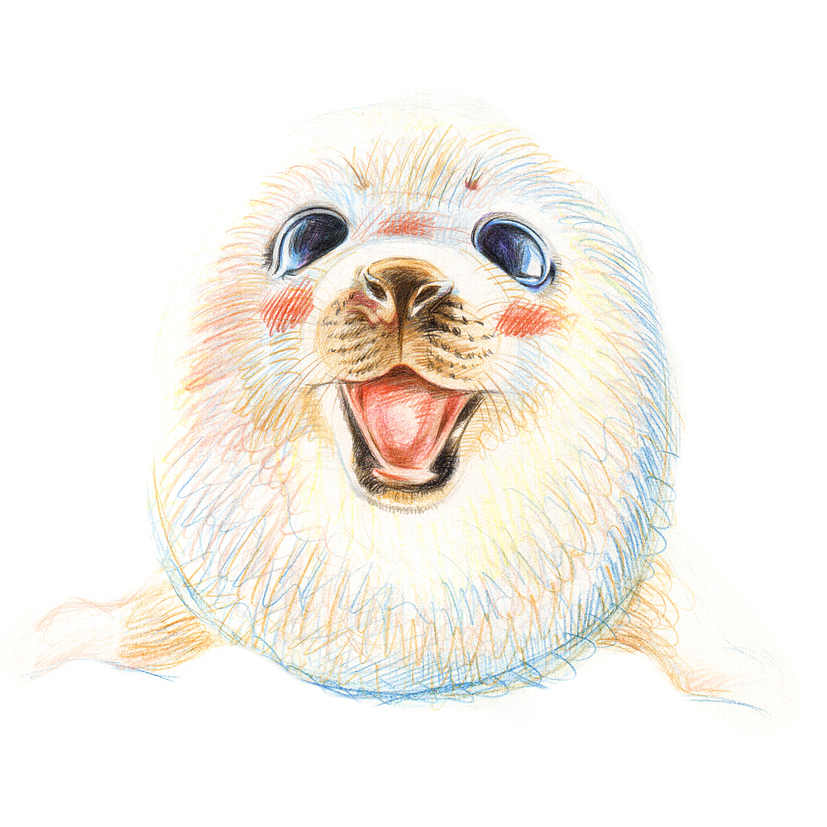 彩铅画萌宠动物|纯艺术|绘画|猫又12321_原创作品-站酷zcool