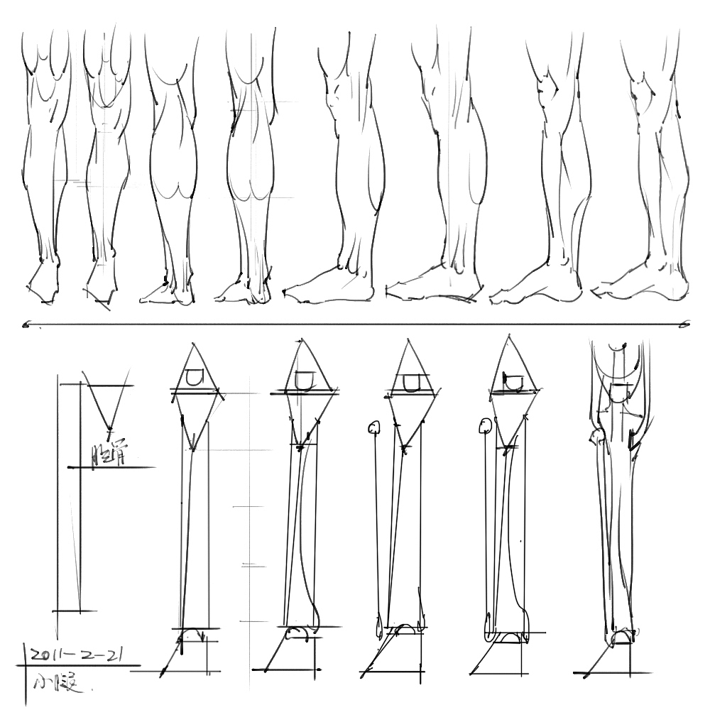 「素材」分享一波绘画专用人体解剖素材 part 04