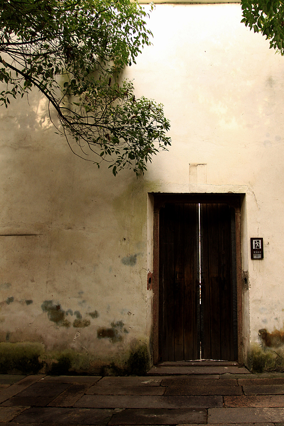 元旦乌镇游记一