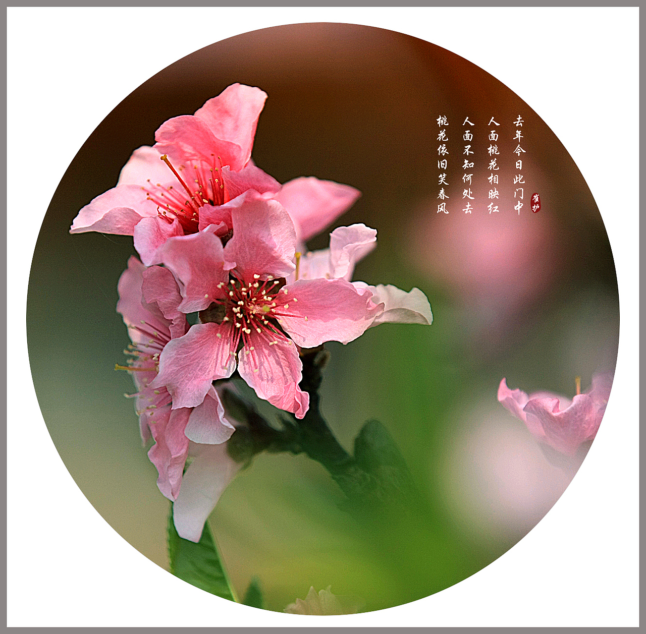 春天来了，桃花梨花开了（图ZNTQzODc4MA==） - 风光摄影 - 站酷设计师jiangyixiao原创素材 - 站酷ZCOOL