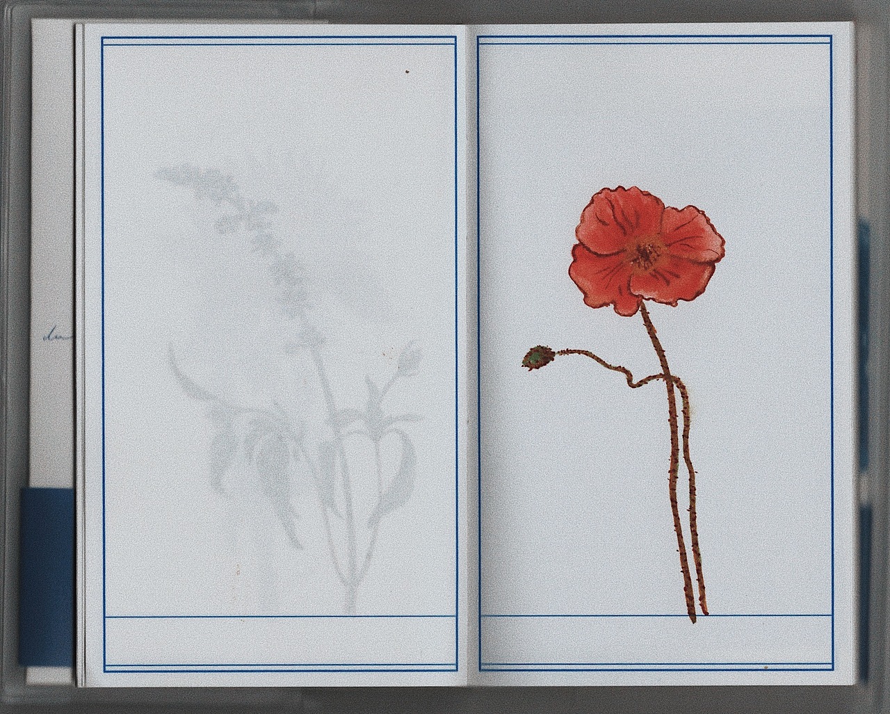 给新买的本子换了封面（图ZMjAyNDQ3NTA0） - 艺术插画 - 站酷设计师AMENGA原创素材 - 站酷ZCOOL