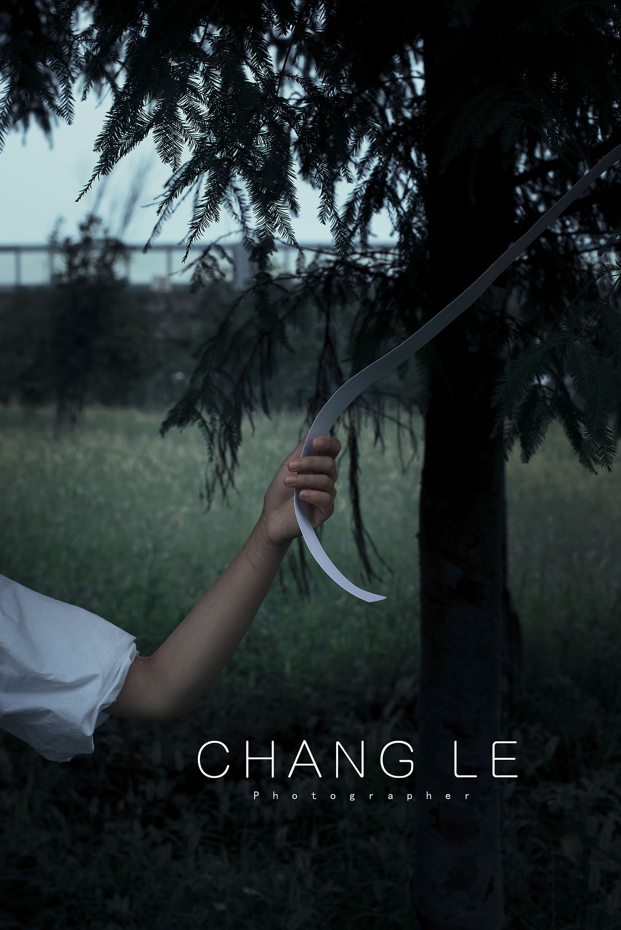 #森#小姐姐#（图ZMjI2MTk4OTgw） - 人像摄影 - 站酷设计师zzzzccll原创素材 - 站酷ZCOOL