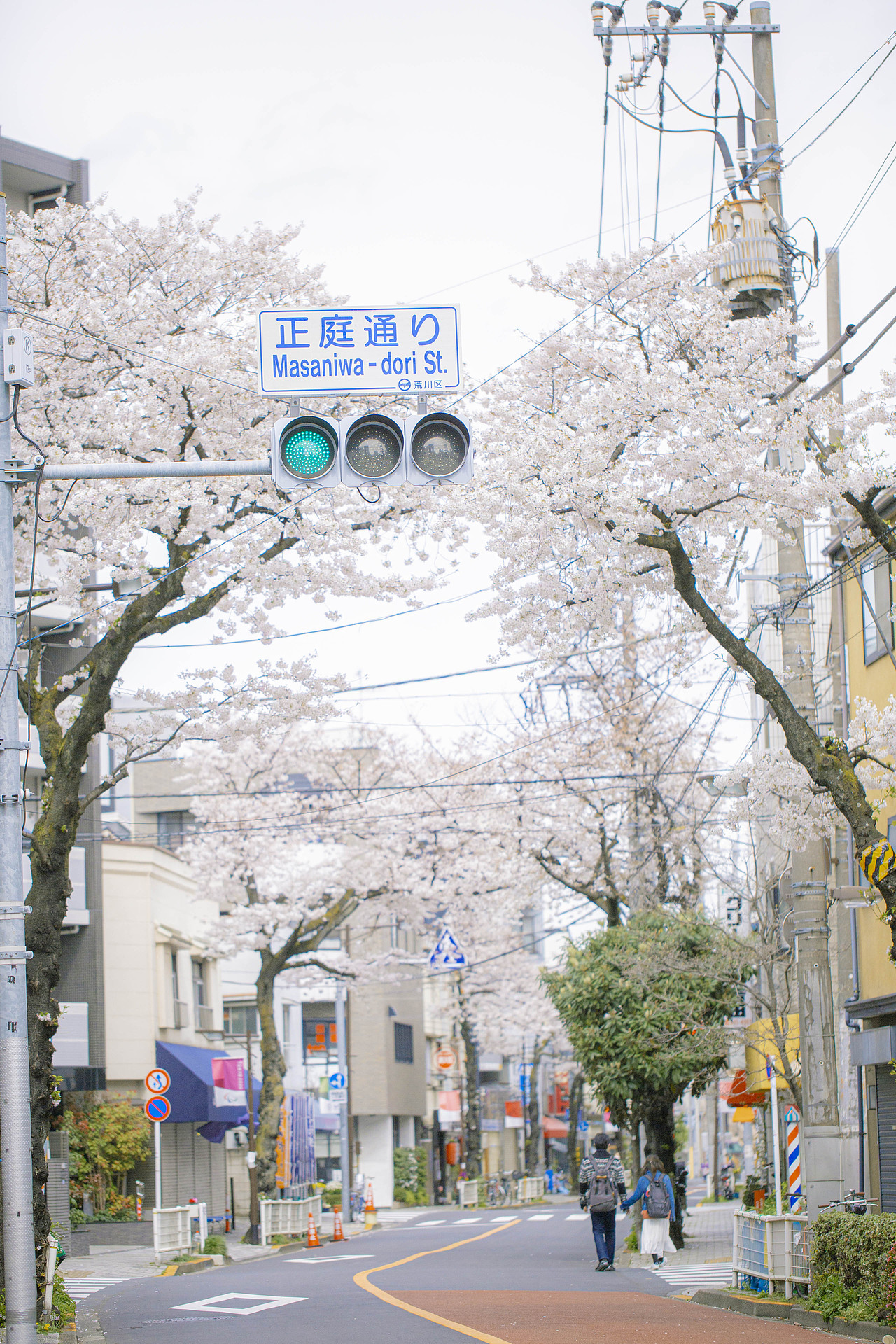 秒速5厘米（图ZMjQ5MzkxOTY0） - 人文/纪实摄影 - 站酷设计师阳光呀阳光你别走原创素材 - 站酷ZCOOL