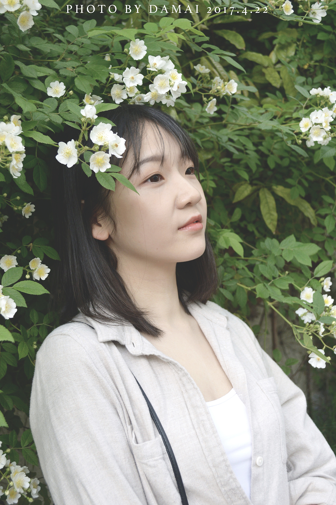 你负责微笑 我负责拍照