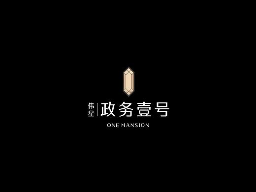 伟星政务壹号