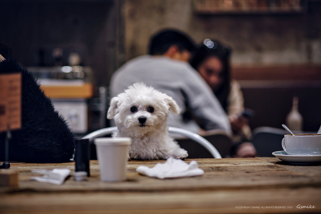 《生活的英雄》2019下半年摄影作品整理（图ZMjA0MzkwNTEy） - 人文/纪实摄影 - 站酷设计师gsmike原创素材 - 站酷ZCOOL