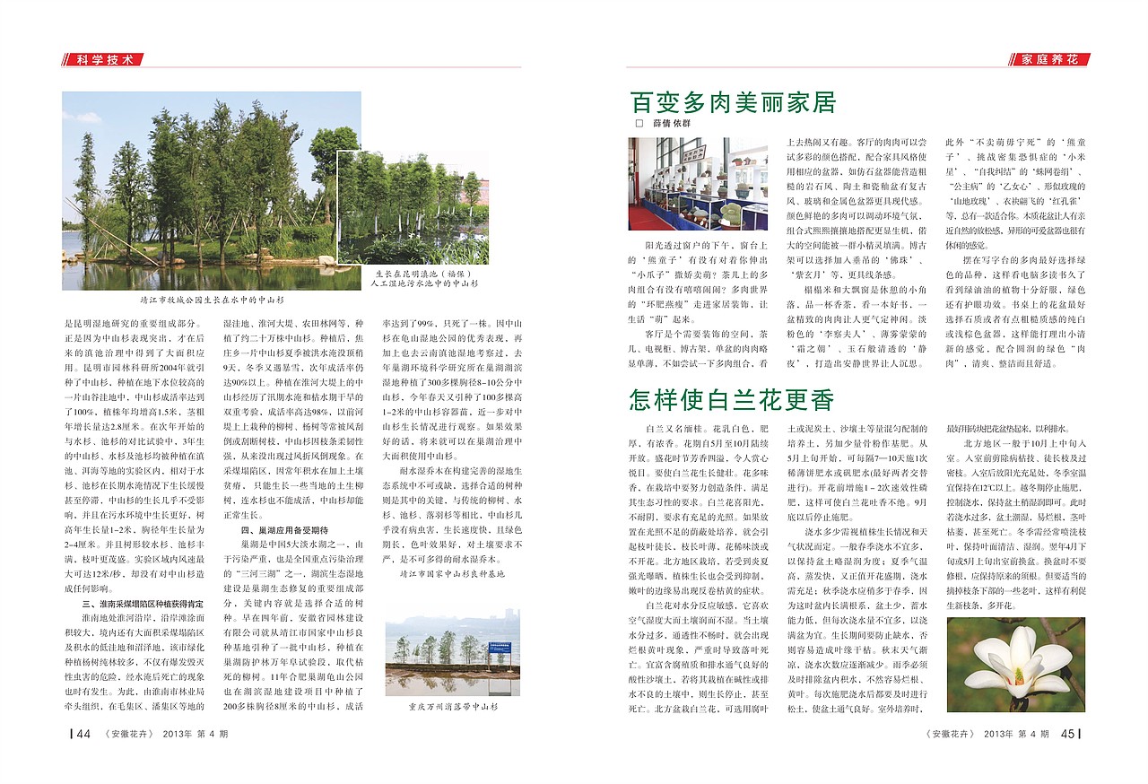 花卉画册（图ZMTY4NzE3MDQ=） - 书籍/画册 - 站酷设计师LIJINGLFY原创素材 - 站酷ZCOOL