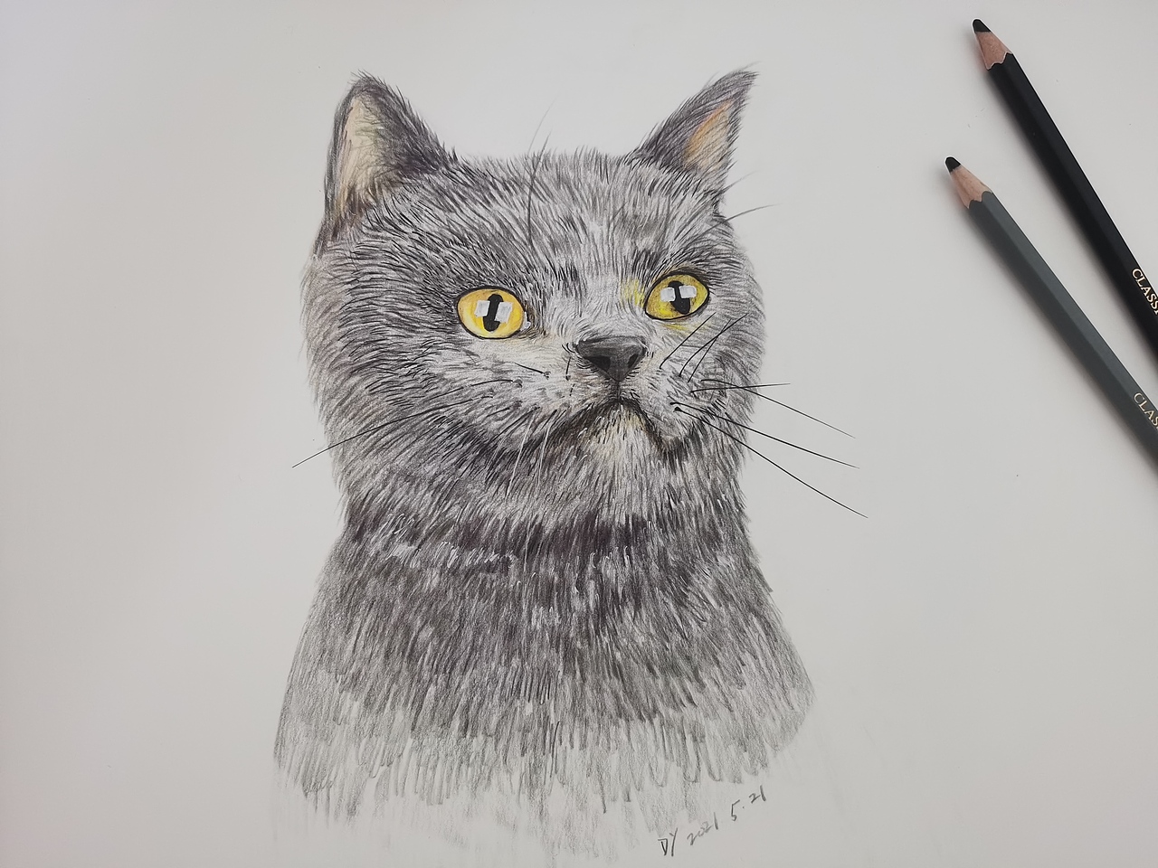 圆珠笔画动物|其他|其他|一散人_临摹作品-站酷zcool