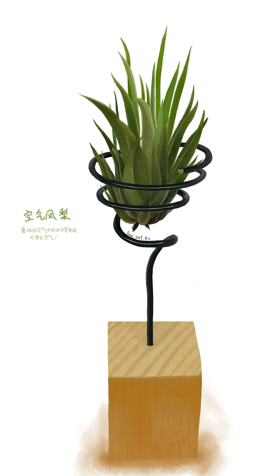 关于一些植物的手绘（图ZMTU1NjIzMjM2） - 绘画 - 站酷设计师丧的头上有颗sun原创素材 - 站酷ZCOOL
