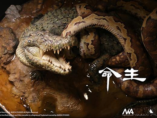 QeenStudios 生命系列-狂蟒巨鳄（完成版）