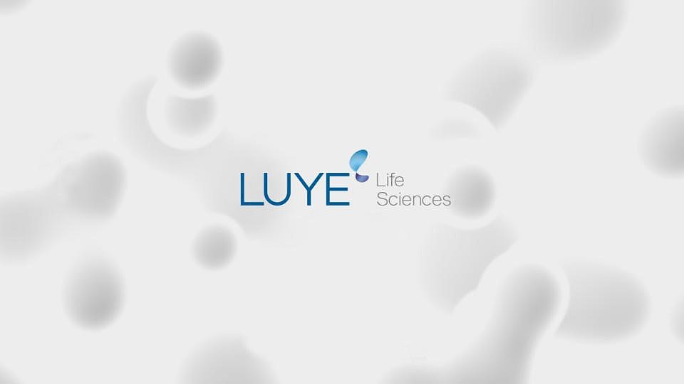 绿叶生命标志修改提案（图ZMjM2MDg5OTYw） - Logo - 站酷设计师许天博原创素材 - 站酷ZCOOL