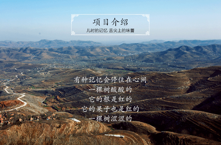 众筹页面，淘宝首页 二级页 活动页面 山楂制品/山楂条/山楂片/淘宝农家店铺/农产品详情页（图ZNDQ1Nzc3NjA=） - 电商 - 站酷设计师才智原创素材 - 站酷ZCOOL