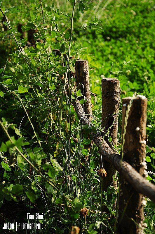 在天水 麦积山石窟