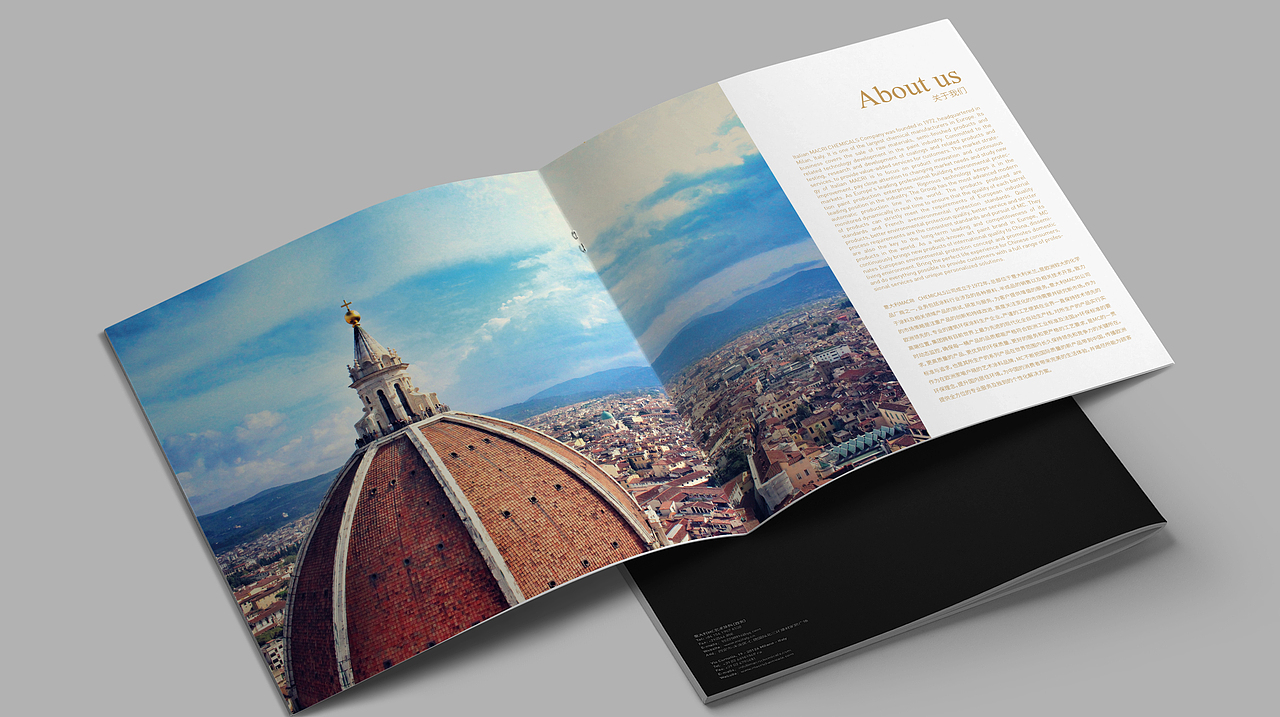 MACRI CHEMICALS MC艺术涂料画册设计