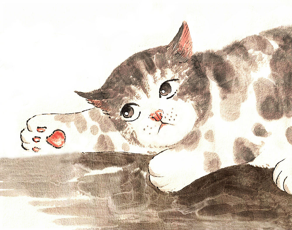 去年年底的几只猫咪