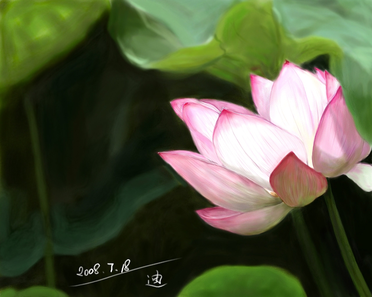 荷花（圖ZNDc5MTMy） - 商業(yè)插畫(huà) - 站酷設(shè)計(jì)師東邦之迪原創(chuàng)素材 - 站酷ZCOOL