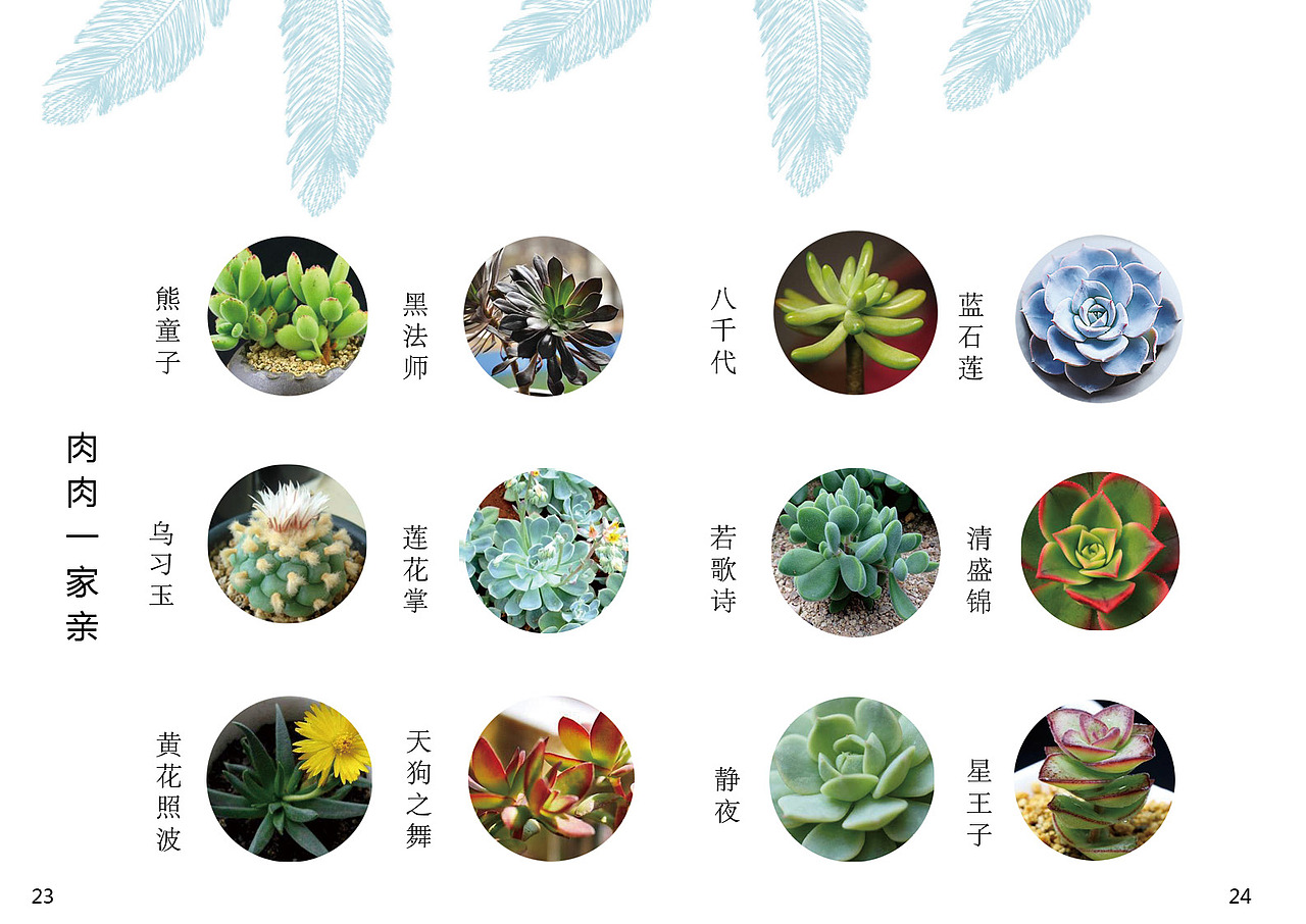 多肉植物画册（图ZODMzOTY4MDQ=） - 书籍/画册 - 站酷设计师陈3岁原创素材 - 站酷ZCOOL