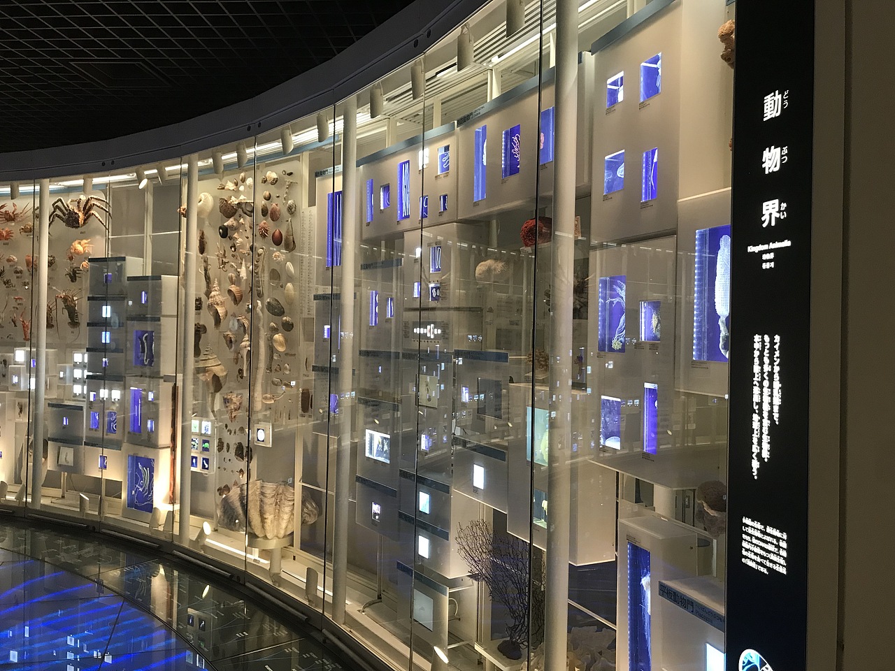 东京国立科学博物馆（图ZMzA5OTUwODY0） - 展陈设计 - 站酷设计师JIANG2015原创素材 - 站酷ZCOOL