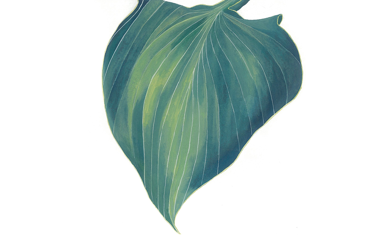 南京艺术学院插画系毕业设计《焦“滤”》