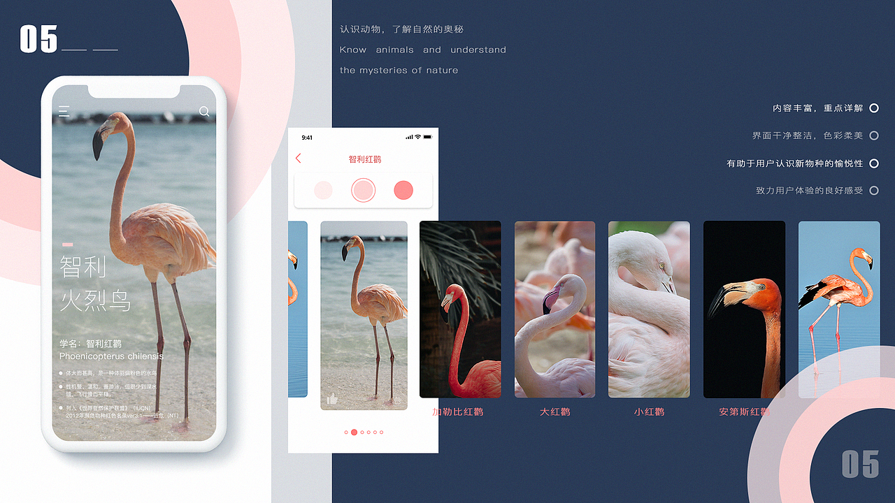 2019UI作品集（图ZMTgxMjY0NTA4） - APP界面 - 站酷设计师明將原创素材 - 站酷ZCOOL