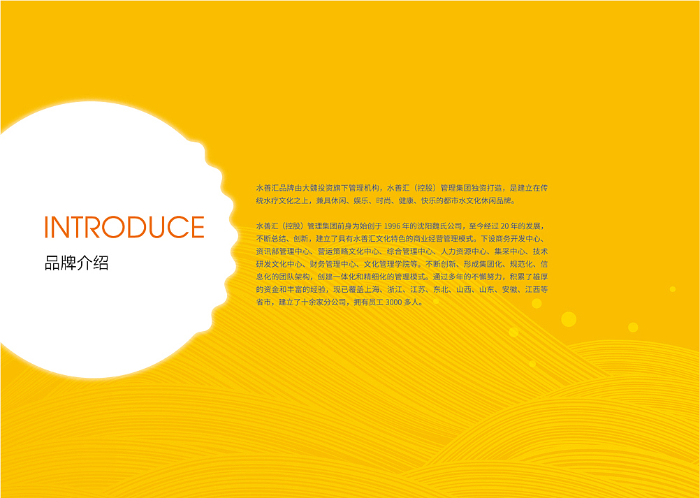 沈阳水善汇 spa 温泉会馆整体品牌策划,品牌设计