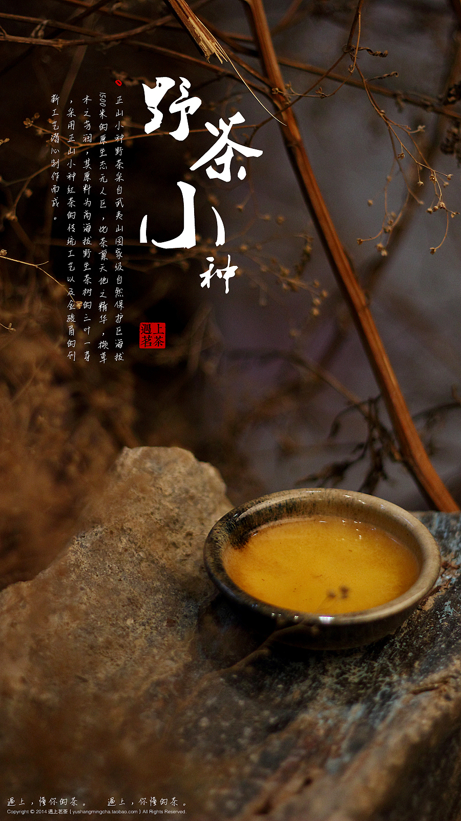 给厦门“遇上茗茶”店拍摄的“野茶小种”