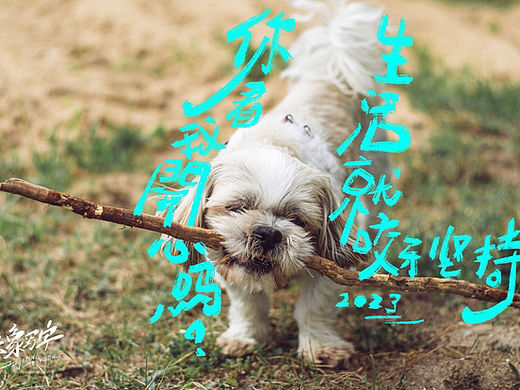 2023/05/二 手寫（個人主頁-ZNjUxODQ3MTY=） - 字體/字形 - 站酷設計師大象LOGO設計原創(chuàng)素材 - 站酷ZCOOL