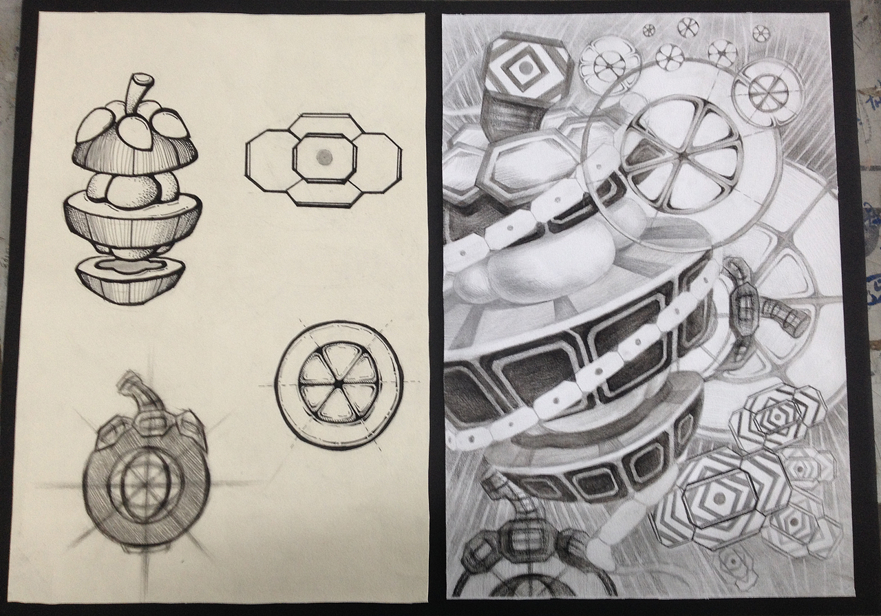 设计素描—山竹写生(4开),解析重构