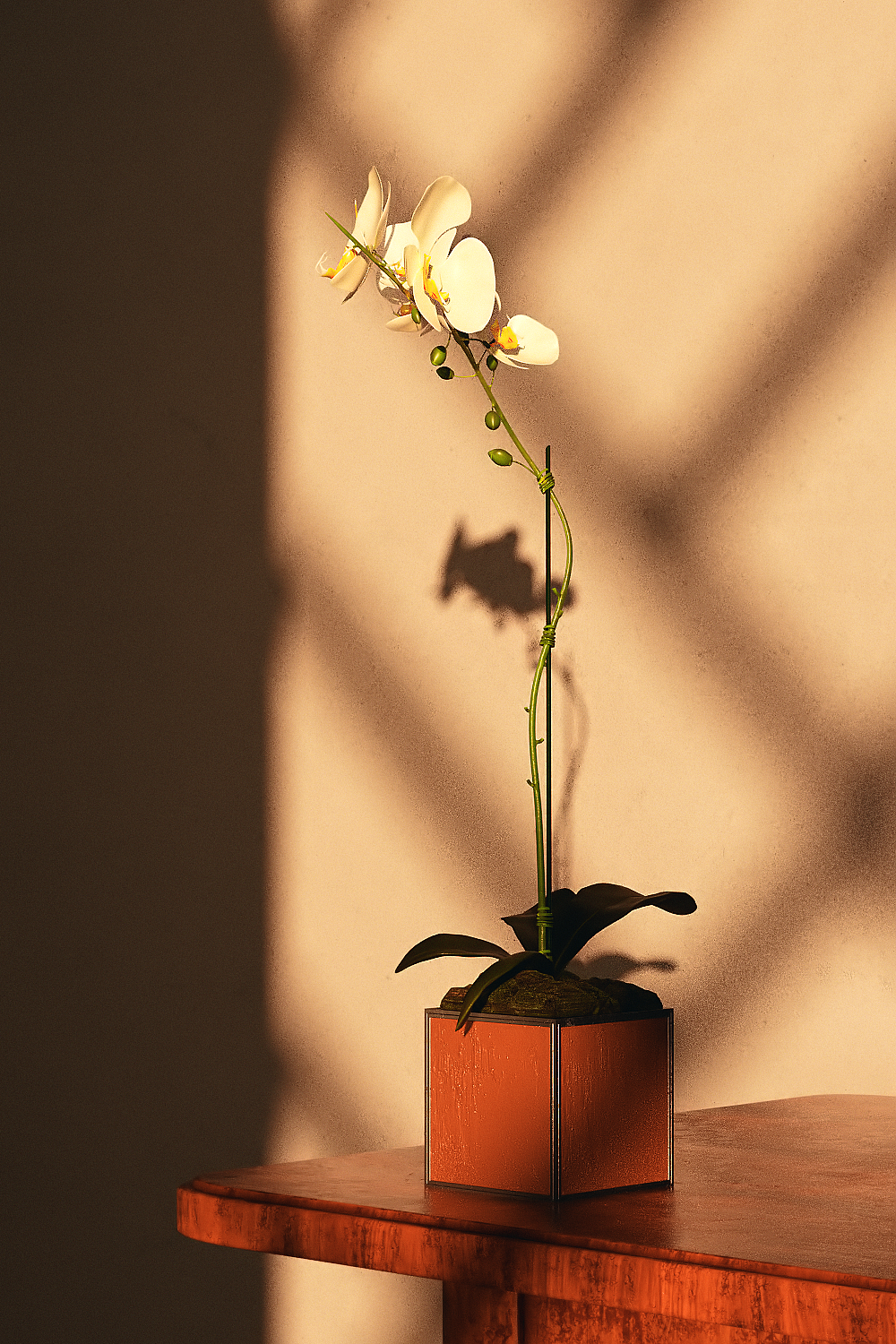 【Every days】近期渲染总结