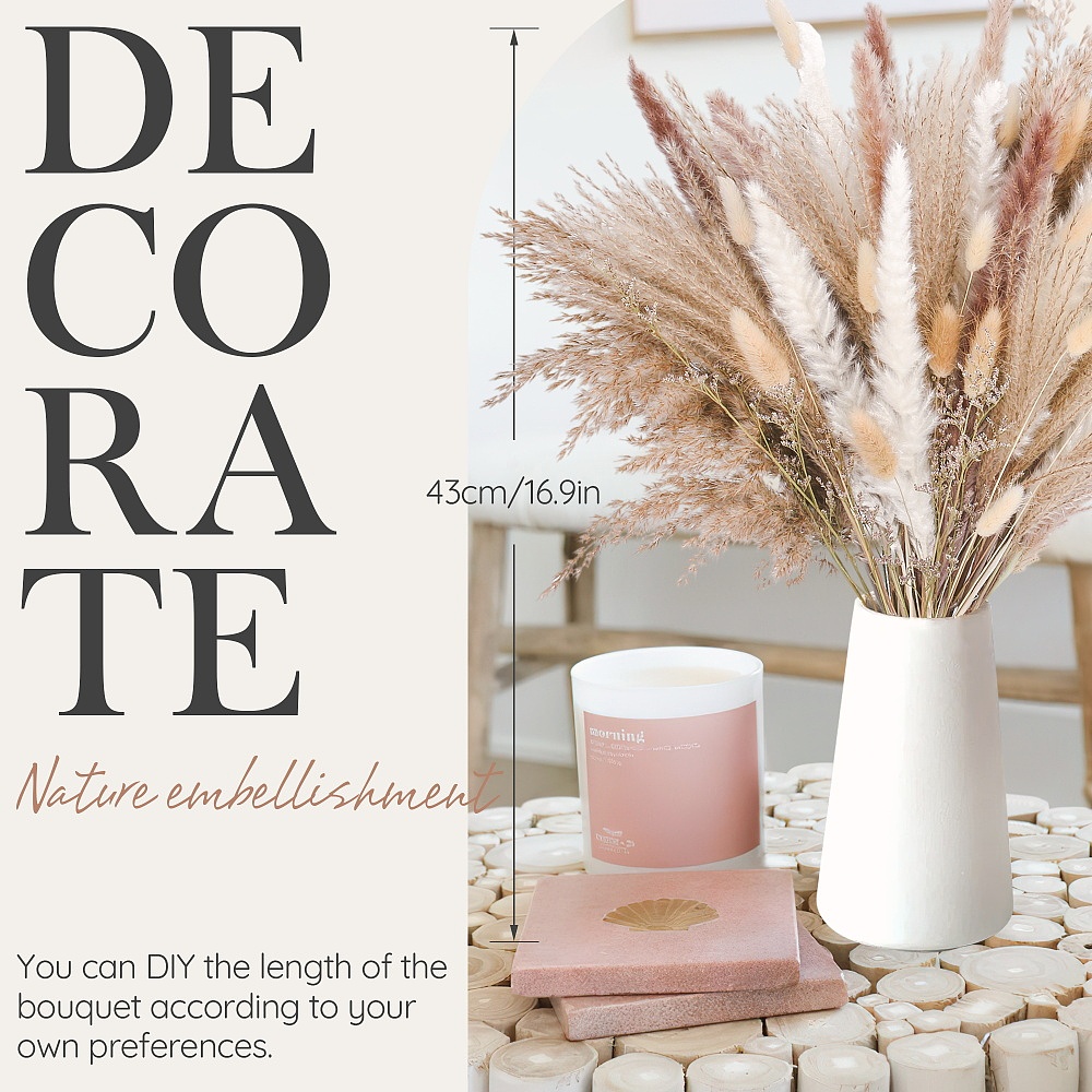 亚马逊 芦苇干花产品图片/A+