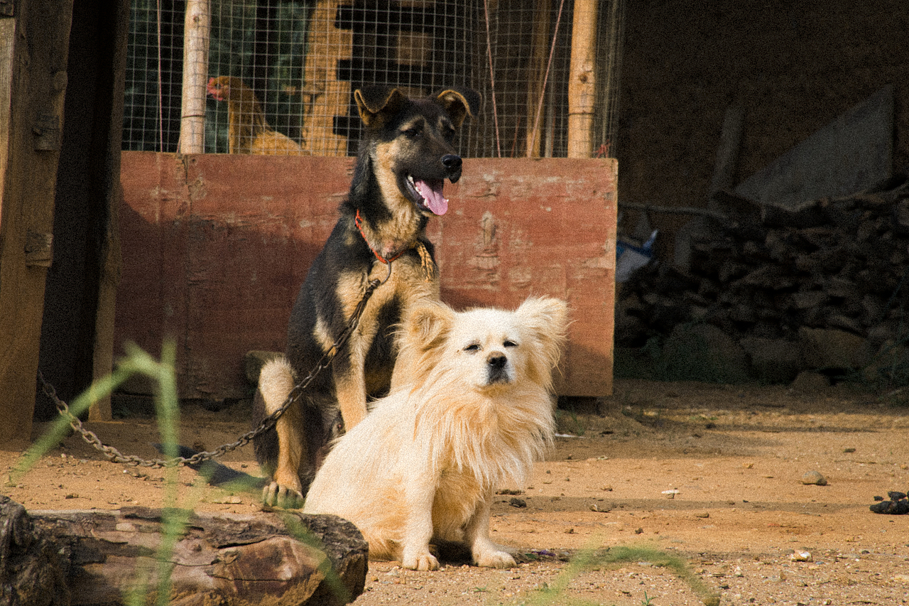 时光是什么样的?（图ZMjE5OTUxNjE2） - 风光摄影 - 站酷设计师aiml1998原创素材 - 站酷ZCOOL