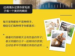 日常运营与活动界面3