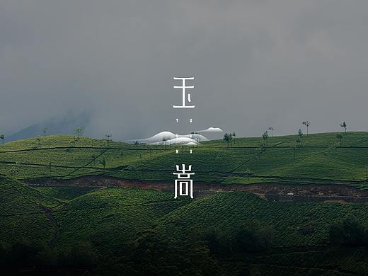 玉嵩YUSONG新派传统茶×品牌设计