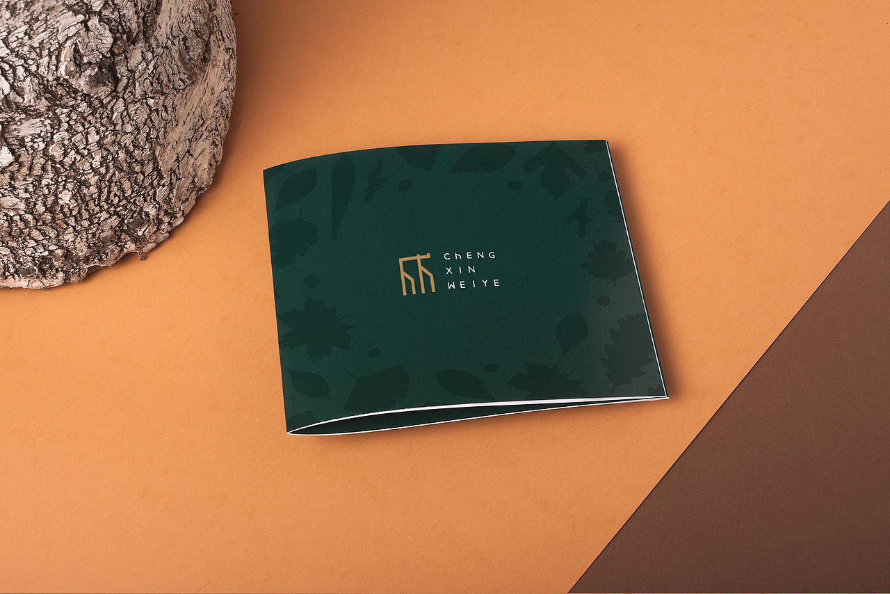 房地产营销策划标志设计-成信伟业