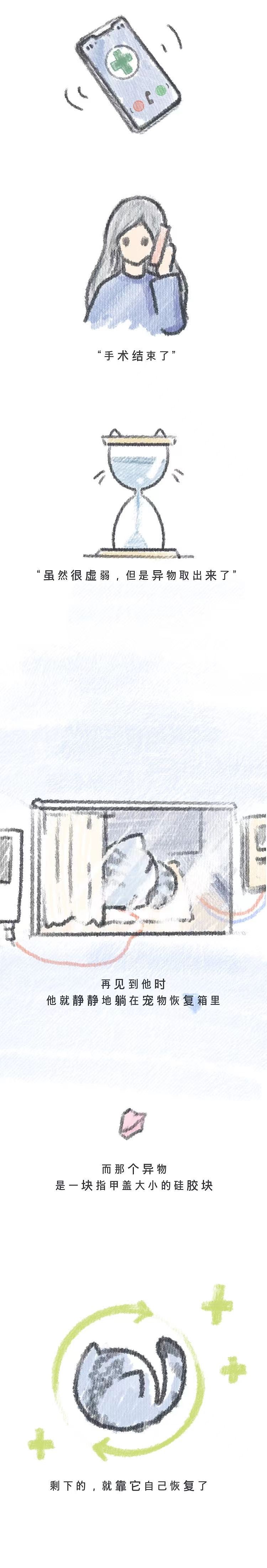猫病（图ZMzI0MzkwNjcy） - 商业插画 - 站酷设计师暴躁分子kalasu原创素材 - 站酷ZCOOL