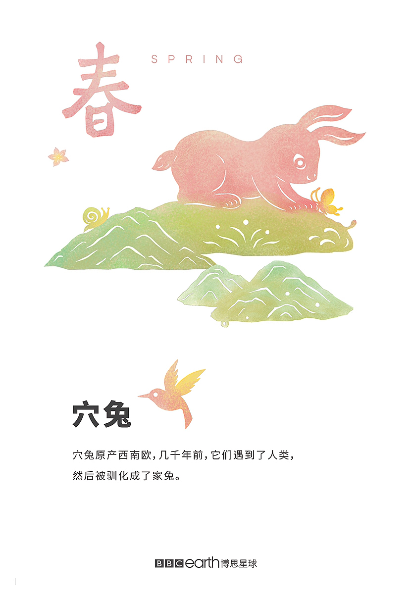｜Happy New Year 兔 You | BBC earth 2023·贺春｜（图ZMzI4MzI2OTA0） - 海报 - 站酷设计师012px原创素材 - 站酷ZCOOL