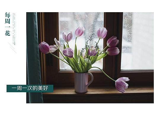 画册