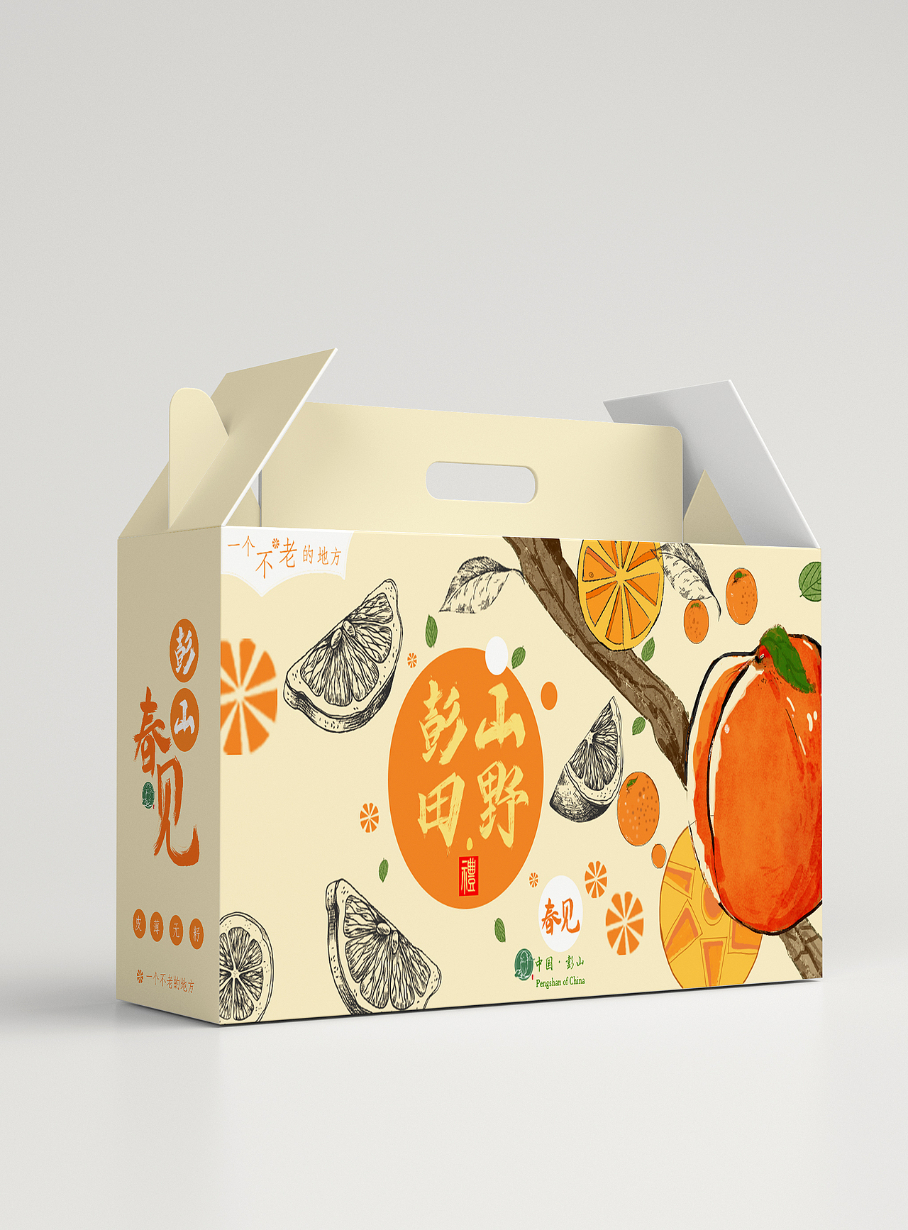 彭山田野礼包装设计