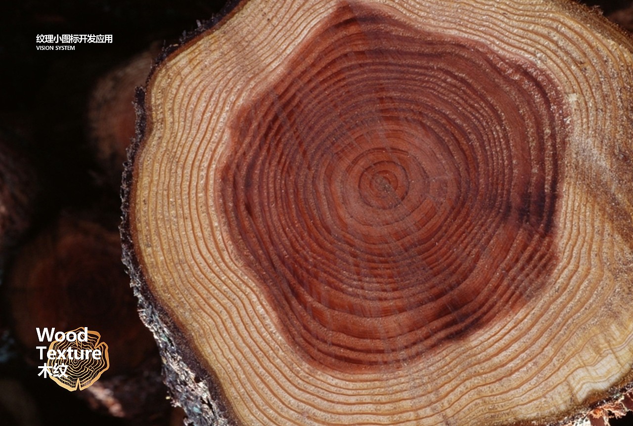 #大瑞木业VI系统-博邦设计作品（图ZMzQwNjE0MTky） - 品牌 - 站酷设计师无锡博邦品牌设计原创素材 - 站酷ZCOOL