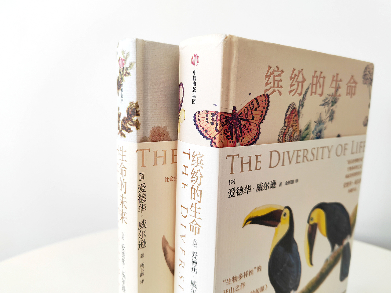 吾然设计——博物&生命（图ZMjc1NTUzNzYw） - 其他 - 站酷设计师吾然设计原创素材 - 站酷ZCOOL