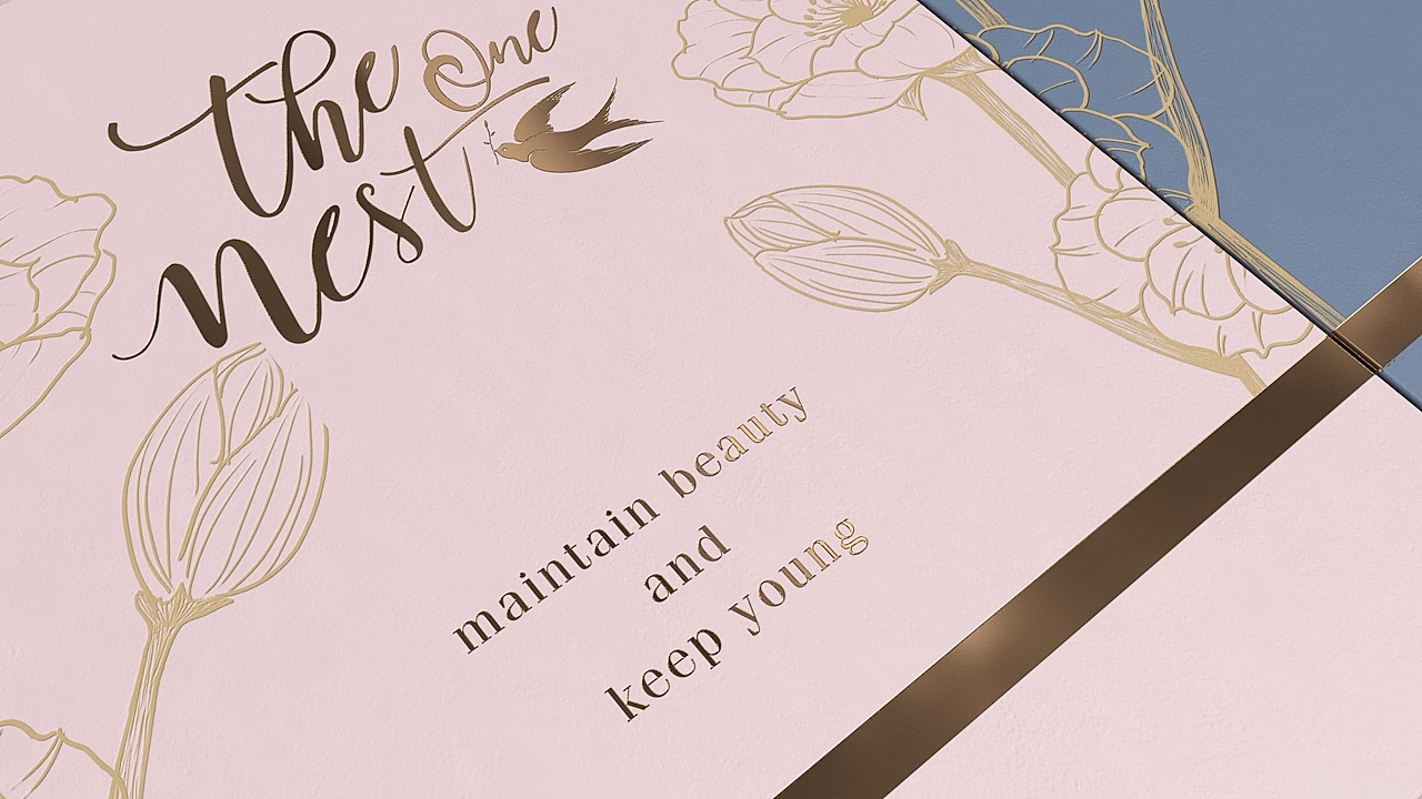 温哥华The one nest品牌设计